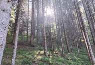 RUHEOASE MITTEN IN DER NATUR