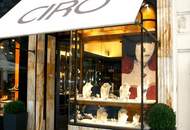 Einmalige Gelegenheit zur Miete - Top-Geschäftslokal in der Kärntner Straße!