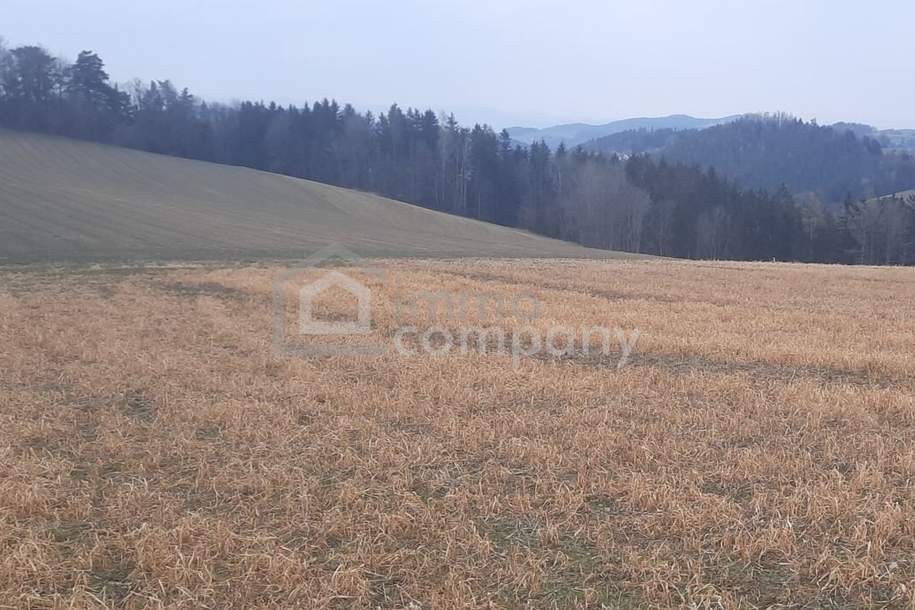 Ackerland in Wiesmath, Gewerbeobjekt-kauf, 2811 Wiener Neustadt(Land)