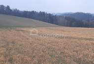 Sommerpreis!! Ackerland in Wiesmath