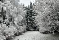 300 Meter von der MITTELSTATION STUHLECK entfernt