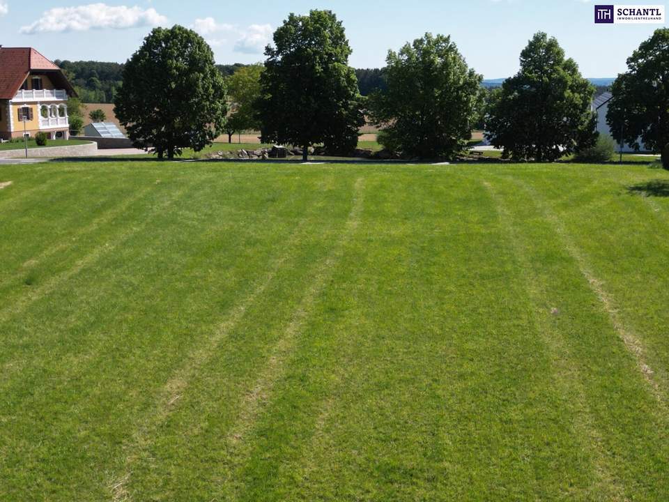 Wagnerberg Vibes - ein wunderschönes 3220m² Baugrundstück mit Gefühl und Format!