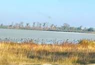 Refugium am Zicksee