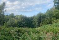 Handwerkerkönig gesucht! Abbruchobjekt, Bauland, Wiese und Wald!