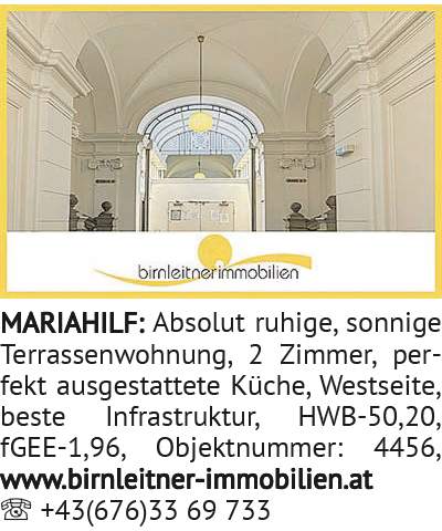 Absolut ruhige, sonnige Terrassenwohnung, 2 Zimmer, perfekt ausgestattete Küche, Westseite, beste In