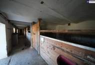 HISTORISCHER HOF IN DER GRÜNEN STEIERMARK: Ein Platz für große Pläne – von Landwirtschaft bis Pferdeparadies