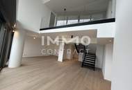 ERSTBEZUG: Attraktive Maisonettewohnung mit viel Platz für Individualität und Ausblick - DANUBEFLATS