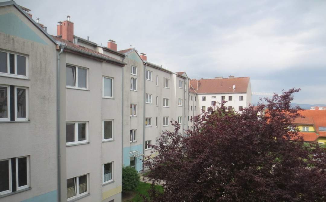 1.5-Zimmer-Wohnung in Wiener Neustadt