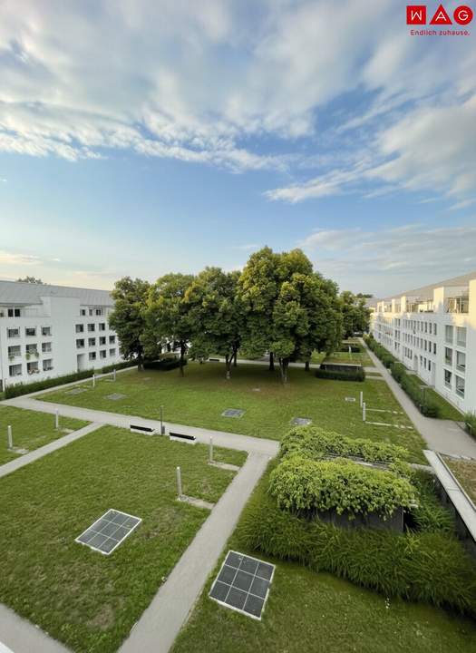 Kleine 3-Raum-Dachgeschosswohnung mit großer Terrasse(15 m²) in Linz/Bindermichl! ACHTUNG Wohnung befindet sich noch in Sanierung! Bezug mit 01. Juli 2026!