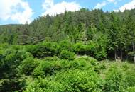 GUT ERSCHLOSSENER WALD, ZUR NACHHALTIGEN NUTZUNG UND ANLAGEZWECKEN!
