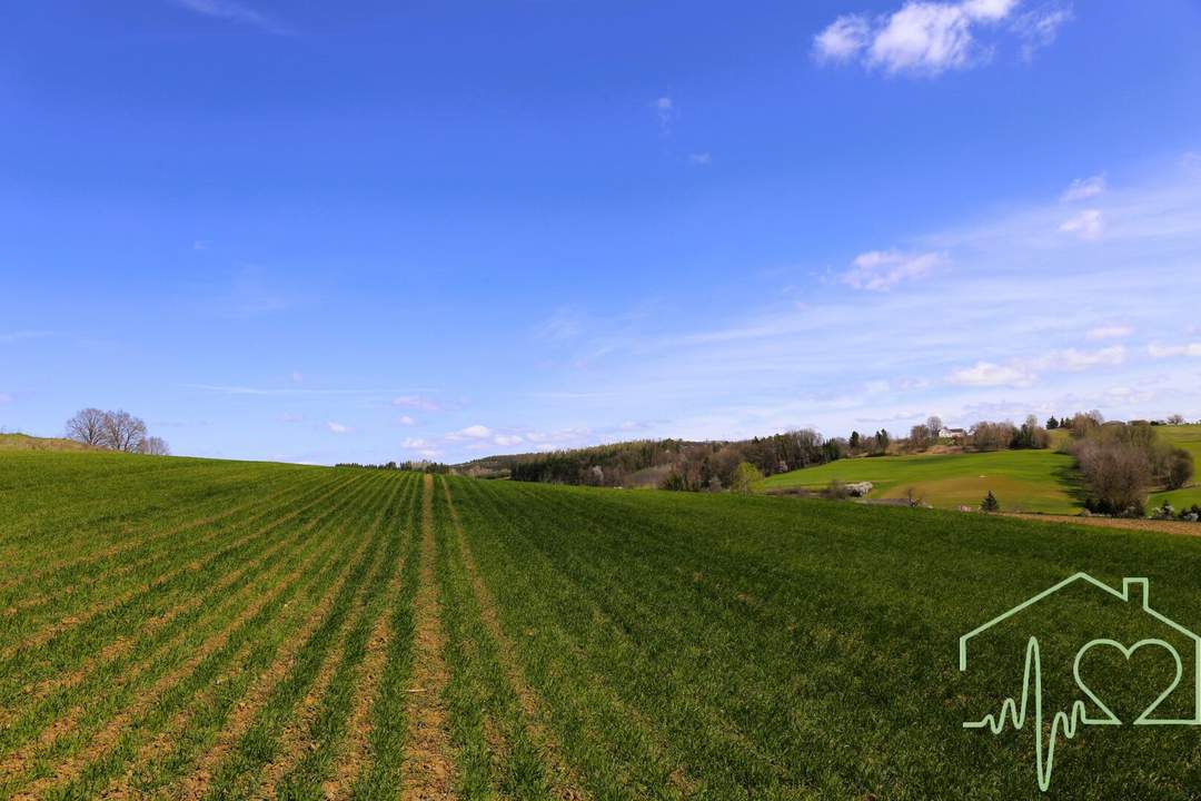 Top Preis - Grundstück in Ruhelage mit Panoramablick zum Kauf!