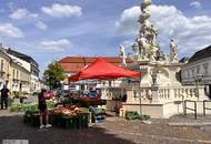 Top ausgestattetes Büro mit viel Platz, nahe dem Mödlinger Stadtzentrum