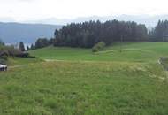 Traumhaftes Baugrundstück in Sappl, Kärnten – Blick auf den Millstätter See.