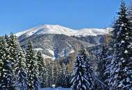 Natur, Abenteuer & Luxus vereint! – CHALET SLEEPY BEAR - Sofort Ski-In & Ski-Out