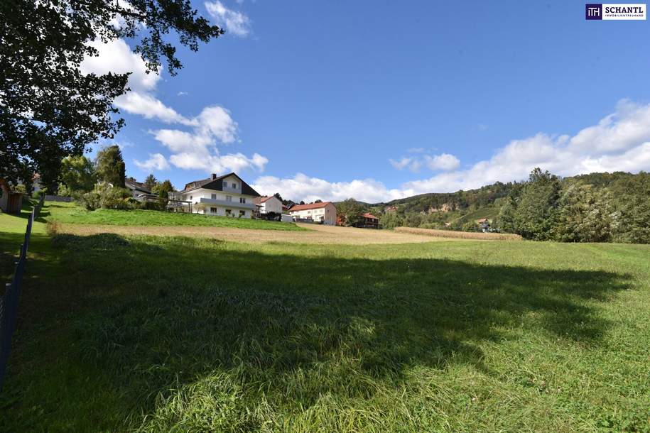 Ihr Traum vom Eigenheim: Baugrundstück in Bad Gams mit sonniger Südausrichtung und allen Anschlüssen an der Grundstücksgrenze in ruhiger Wohnlage wartet auf Sie!, Grund und Boden-kauf, 98.500,€, 8524 Deutschlandsberg