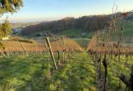 IN SLOWENIEN - Weingut in spektakulärer Alleinlage mit traumhafter Aussicht!