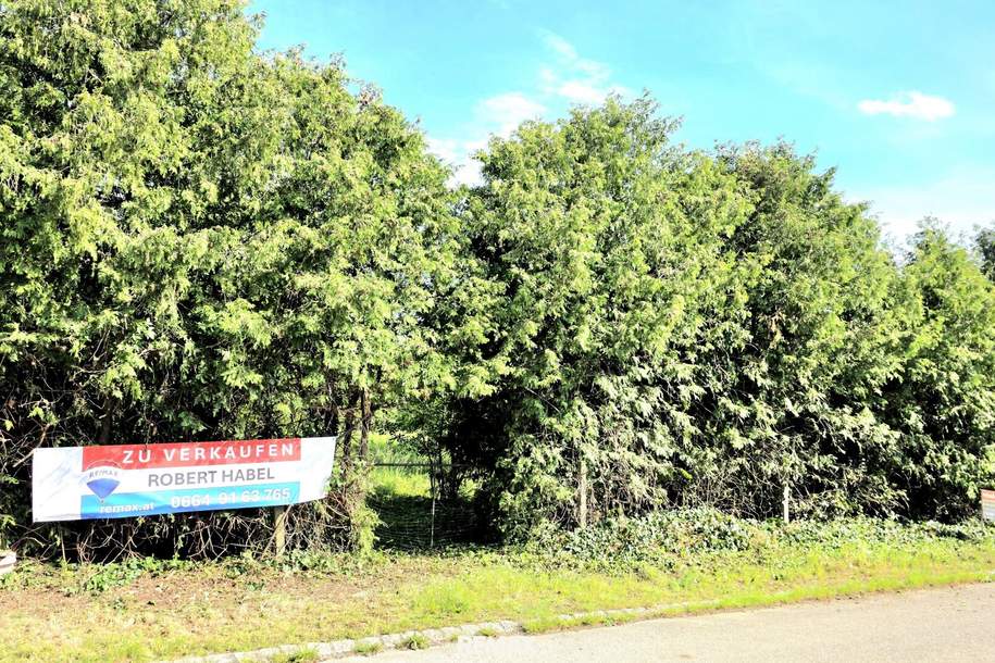 GOLS - Baugrundstück, Burgenland – Eigenheim-Traum, Grund und Boden-kauf, 222.222,€, 7122 Neusiedl am See