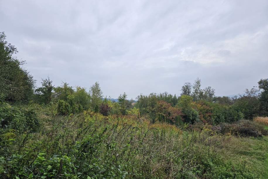 Landwirtschaftlicher Nutzgrund nahe Leondinger Straße, Grund und Boden-kauf, 4060 Linz-Land