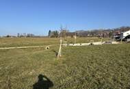 Baugrundstück in Schlierbach; 252/89 - 784 m²