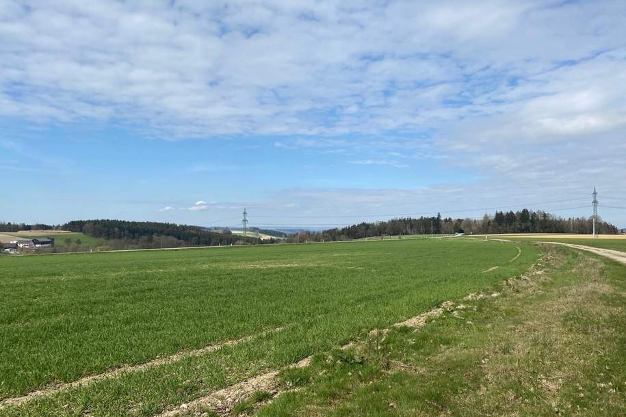 Betriebsbaugrund in gut frequentierter Lage, Grund und Boden-kauf, 688.272,€, 4753 Ried im Innkreis