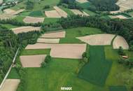Haus mit Pool &amp; Kleinlandwirtschaft inkl. Bauland, Freiland &amp; Wald in idyllischer Lage!