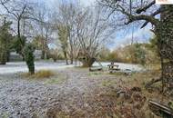 Traumhafte Liegenschaft in Pitten – Großzügiges Bauland mit charmantem Altbestand