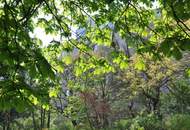 MODERNE 2-ZIMMER-WOHNUNG IM 4. LIFTSTOCK MIT WEITBLICK – 1100 WIEN