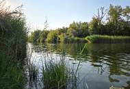 SOMMERAKTION! TRAUMLAGE! NÄHE U2 DONAUSPITAL. GRUNDSTÜCK DIREKT AM MÜHLWASSER.