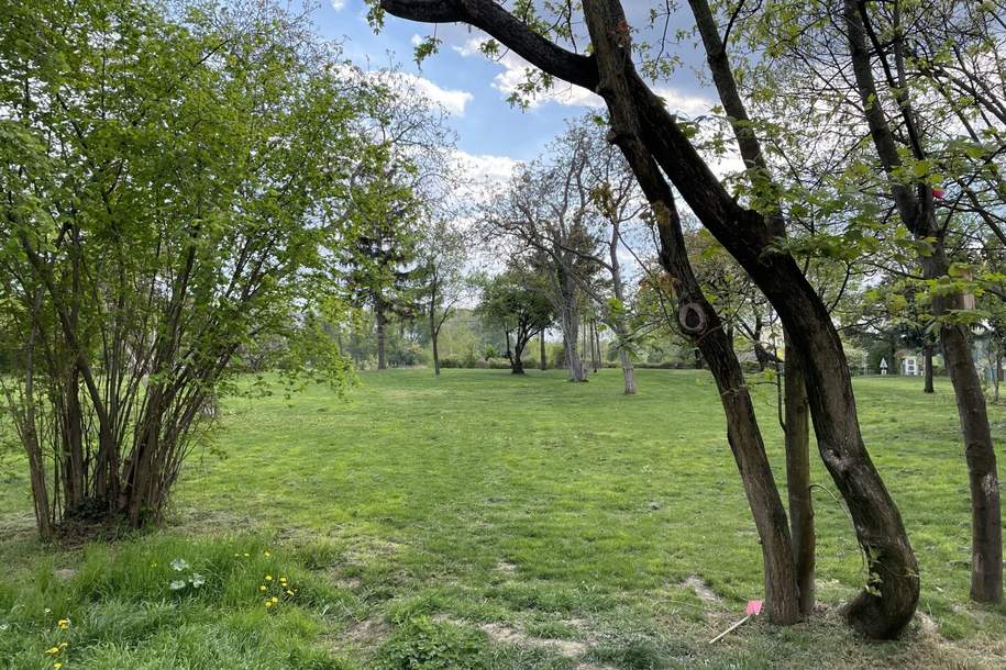 Beautiful and furnished 107 m² 4 room apartment with terracce for rent in 1210 Vienna located directly at the Obere Alte Donau!, Wohnung-miete, 2.490,00,€, 1210 Wien 21., Floridsdorf