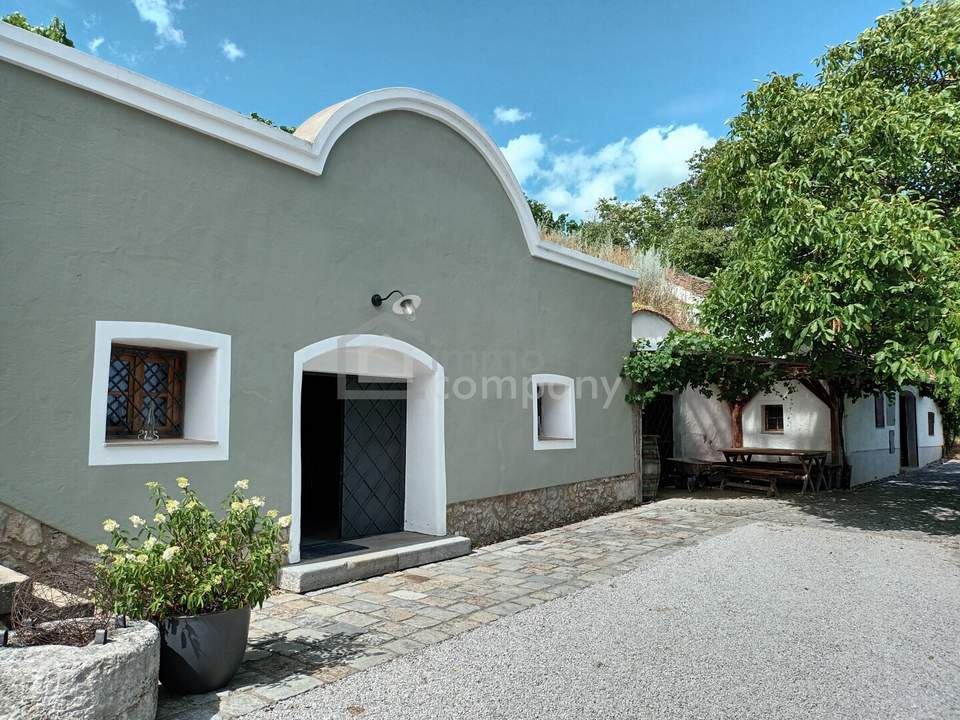 Weinkeller mit Haus