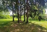 ZWEI WOHNHÄUSER - TRAUMHAFTER BUNGALOW UND KLEINES SOMMERHAUS SAMT PARKÄHNLICHEM GARTEN MIT HERRLICHEM ALTBAUMBESTAND