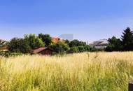 MIT BLICK ZUM LEITHAGEBIRGE UND NEUSIEDLERSEE