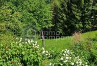 Am beliebten Rosenberg! Altes Bauernhaus in unverbaubarer, ruhiger, sonniger Lage mit großem Baulandgrundstück