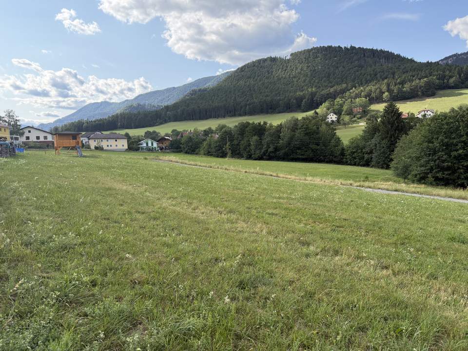 Herrliches Baugrundstück im Naturdorf Prigglitz!