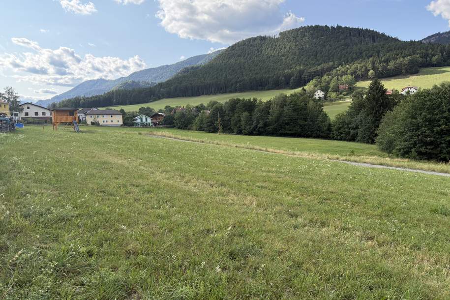 Herrliches Baugrundstück im Naturdorf Prigglitz!, Grund und Boden-kauf, 86.240,€, 2640 Neunkirchen