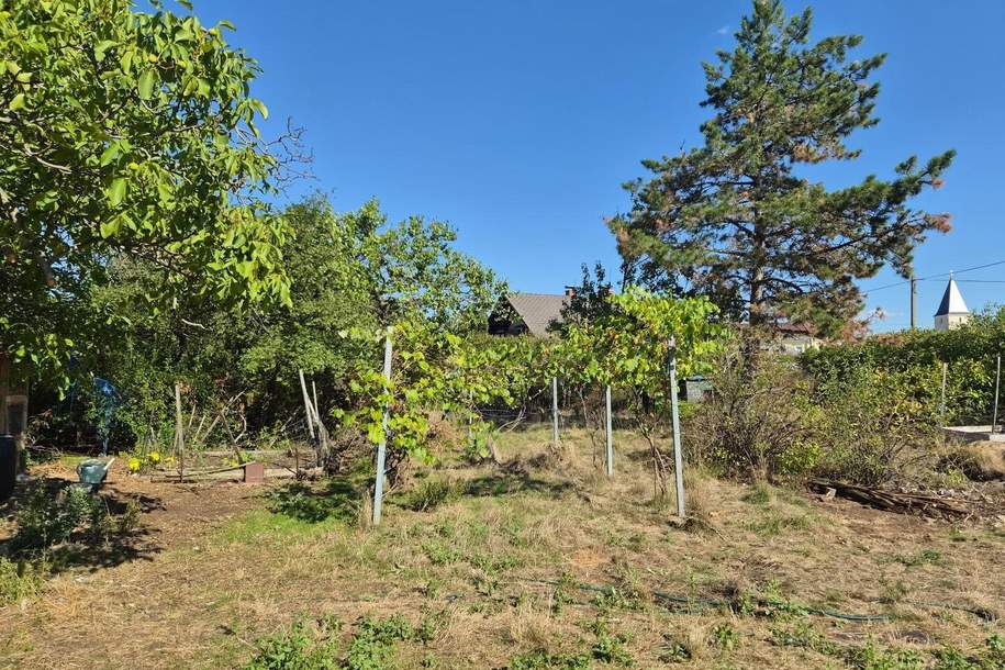 "Für PRIVATE und BAUTRÄGER!", Grund und Boden-kauf, 270.000,€, 2601 Wiener Neustadt(Land)