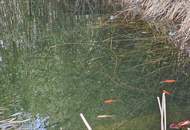 Praktisches Geschäftslokal mit Wohneinheit