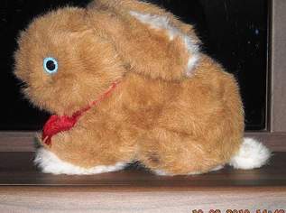 Plüsch Hase Ostern Plüschhase Plüsch Hase Ostern Plüschhase
