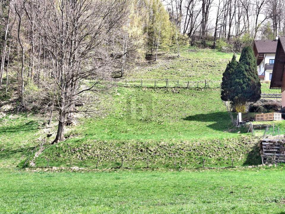 NATURNAHES GRUNDSTÜCK MIT PANORAMABLICK