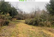 Naturnah & ruhig: Grundstück mit Altbestand in Spattendorf - Gemeinde Alberndorf in der Riedmark (GST 2438/1)