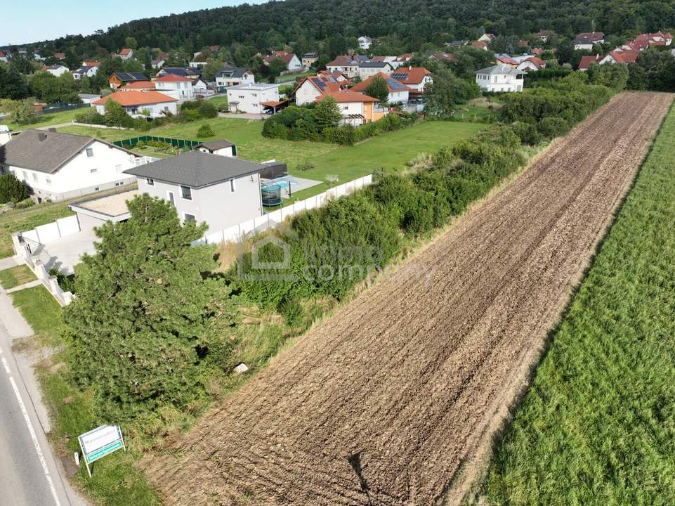 So gut wie keine Nachbarn neben dir - lässiges Grundstück in Mannersdorf/Leithagebirge zu verkaufen!