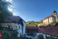 Märchenhaft großes Grundstück in Handlage mit grandiosen Ausblick auf die Burgruine Rehberg in 3500 Krems an der Donau