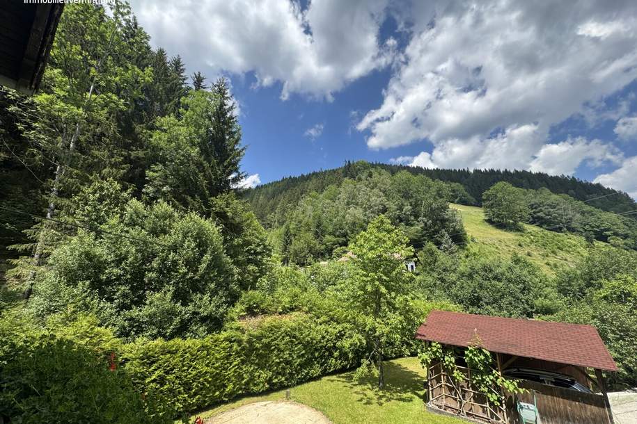 Haus in idyllischer Grünlage, Haus-kauf, 298.000,€, 2881 Neunkirchen