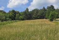 Grundstück im Weingebirge Rechnitz (gemischte Kellerzone mit landwirtschaftlicher Fläche)