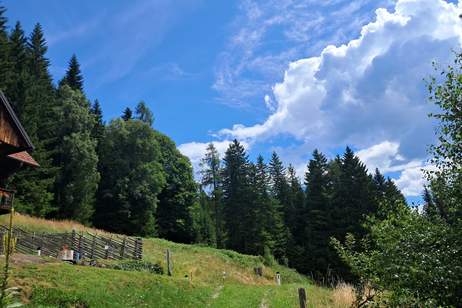 außergewöhnliche Lage auf der Hebalm - Grund an höchster Stelle (Provisionsfrei), Grund und Boden-kauf, 122.000,€, 8530 Deutschlandsberg
