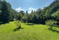 ***Natur pur: Charmante Gartenhütte mit Bachlauf auf 2000m² in ruhiger Alleinlage***
