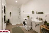 Ein Blick über die Dächer von Wien. 2 Zimmerwohnung mit Terrasse