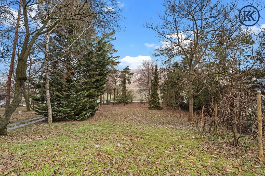 Wo die Seele ihr Zuhause findet: Ein Kunstwerk zwischen Wald und Wien