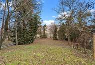 Wo die Seele ihr Zuhause findet: Ein Kunstwerk zwischen Wald und Wien