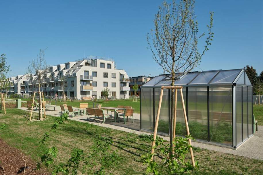 gut geschnittene 2 Zimmer Wohnung mit Balkon und KÜCHE im Gartenhaus 22__T11_PROVISIONSFREI!, Wohnung-kauf, 249.500,€, 1220 Wien 22., Donaustadt